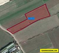 Burhaniye Kızıklı M.Satılık Tarla 9600 M2 Araç İle Girilebilir