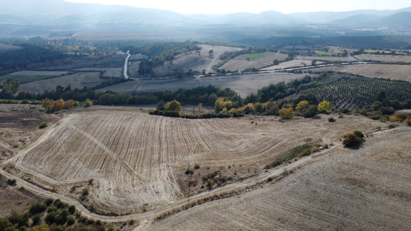 İlan fotoğrafları