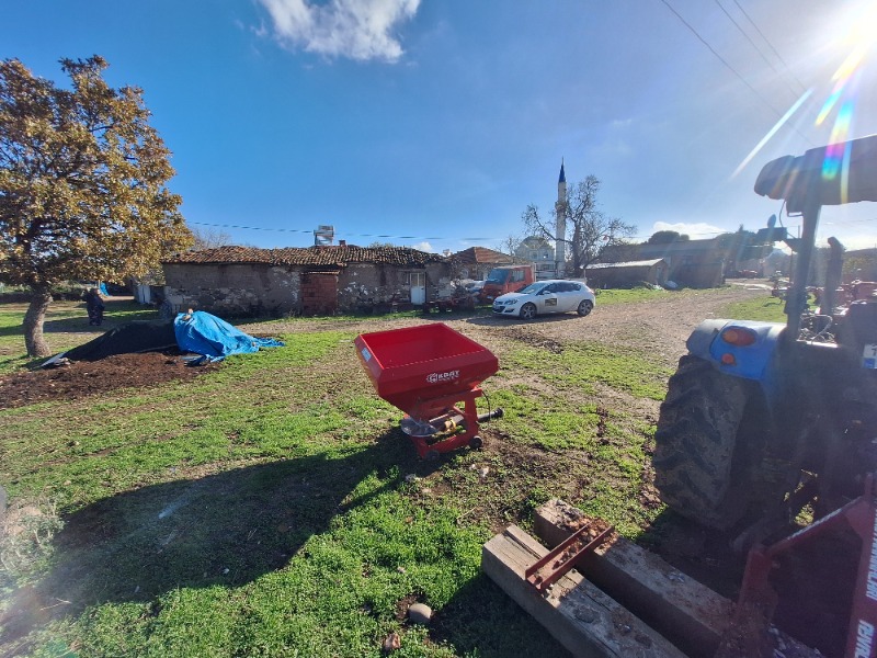 Büyü1131 Büyü1131