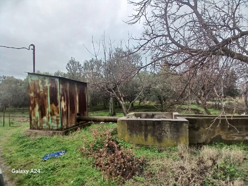 Büyü2675 Büyü2675