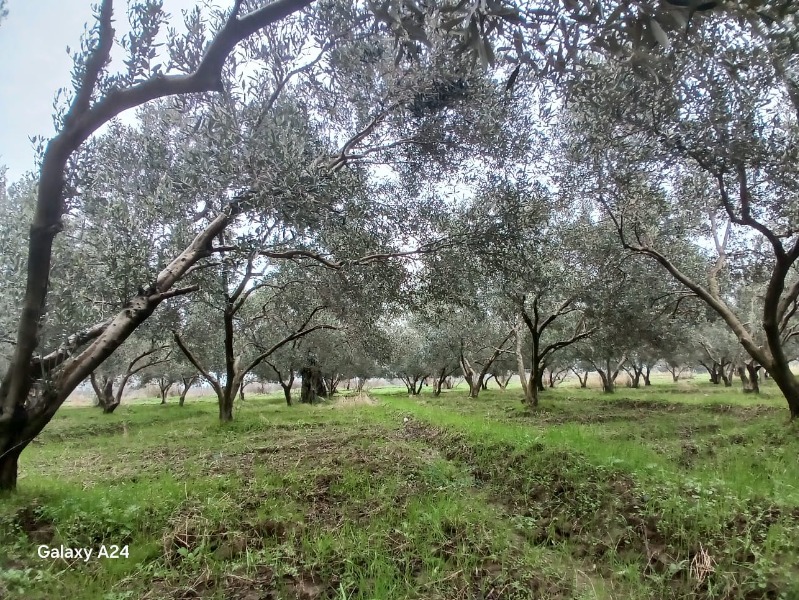 İlan fotoğrafları