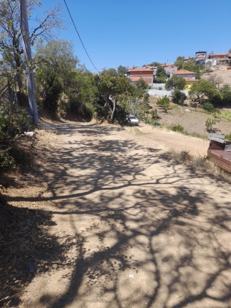 Büyü2694 Büyü2694