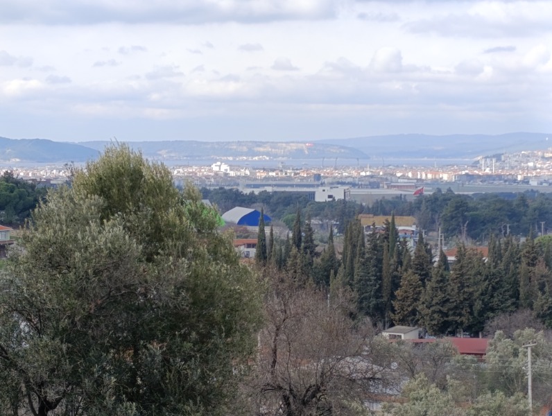 Büyü2491 Büyü2491