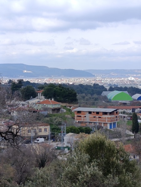 Büyü2497 Büyü2497
