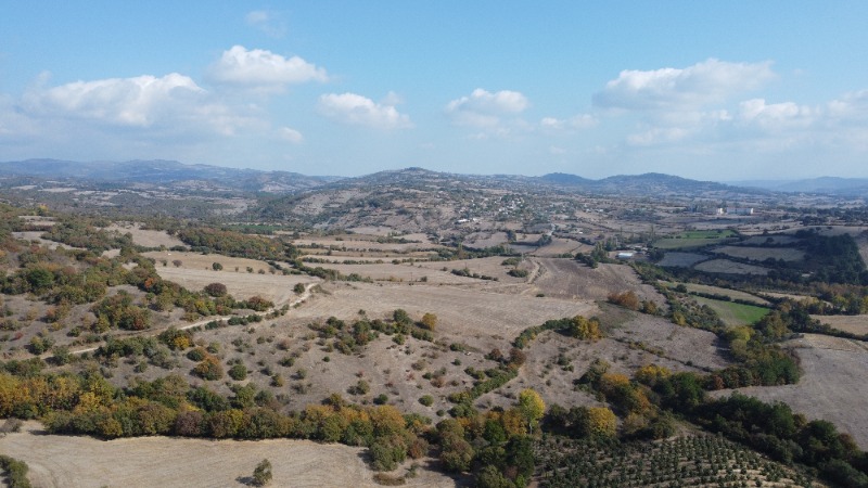 Büyü1148
