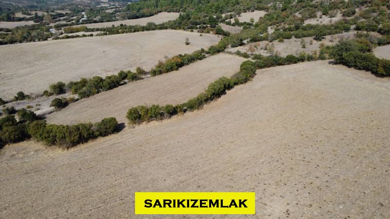 Büyü14759