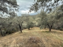 Resim2019