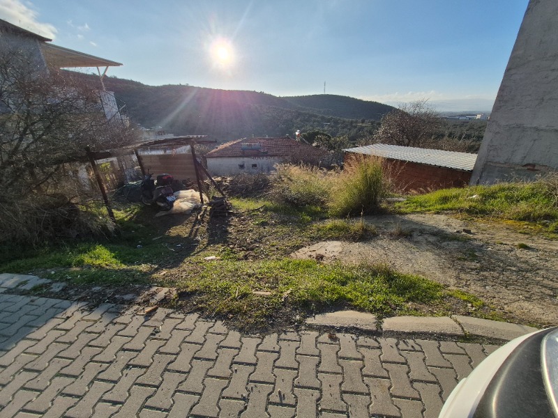 Büyü1977 Büyü1977