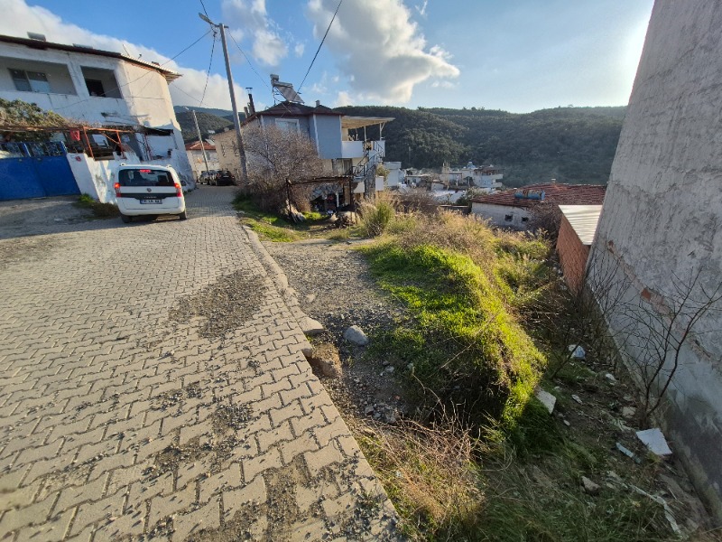 Büyü1979 Büyü1979