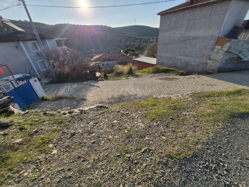 Büyü1982 Büyü1982