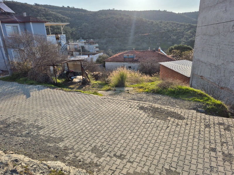 1980